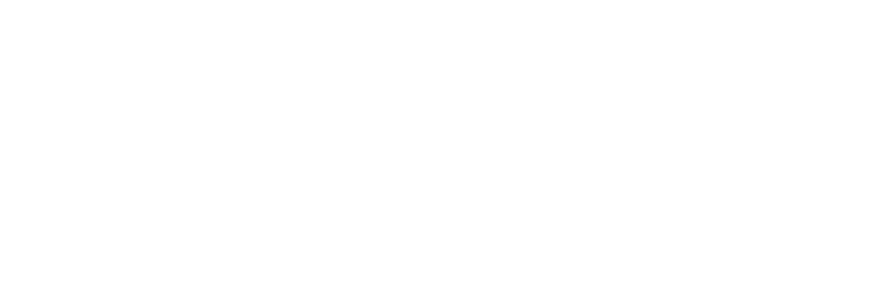 BRUTA Arquitectura